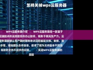 怎样关掉wps云服务器,WPS诊断工具提示云服务器